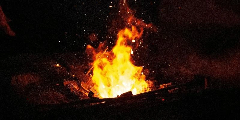 Les Forges BTS GPN : Programmes et Partenariats